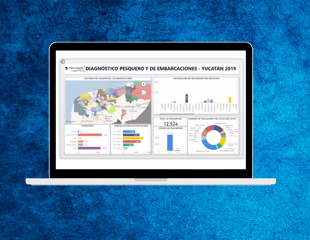 SEPASY's Dashboard picture